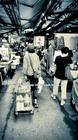 #CapCut khi mà mày rớt vô cảnh khổ#xuhuong #nhachaymoingay #cuocsong #thanhxuannguyen63b1 