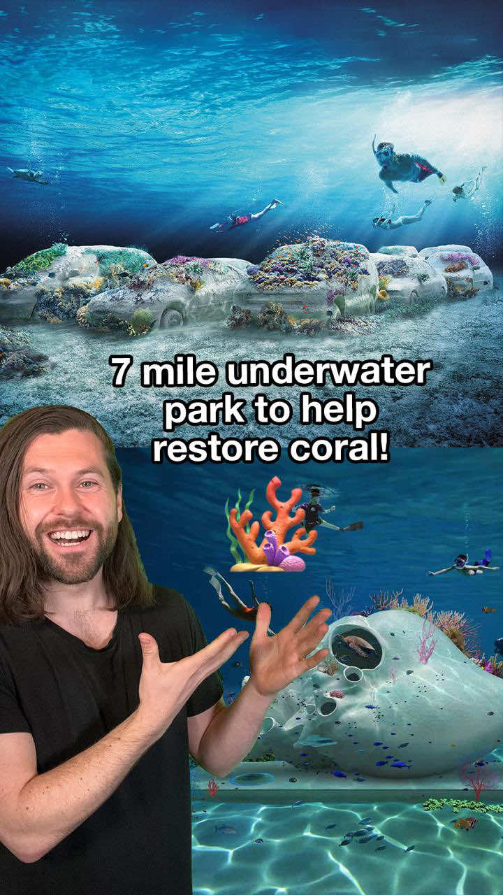 This 7-mile underwater sculpture park and snorkel trail is being built near Miami Beach, aiming to help save Florida’s endangered coral reefs! It’s called The Reefline, a public art and conservation project that will roll out in phases over the coming years. Partially funded by a $5 million bond approved by Miami voters in 2022, the project is now in its first phase. The first installation is called Concrete Coral, a piece by artist Leandro Erlich, that features a life-sized traffic jam of 22 concrete cars placed on the ocean floor for marine life to colonize. Symbolically reversing the damage caused by real-world traffic. The sculptures are seeded with Coral Loks, which are devices that anchor baby corals to the reef to support their growth. Snorkelers will be able to explore the site just 600 feet from shore, creating what organizers are calling an “underwater art crawl.” Do you want to see more ideas bringing our reefs back? #goodnews #coral #ocean #miami #savethereef #conservation 