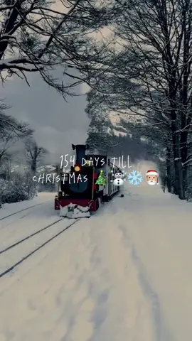 5 more months 🤍❄️🎄 #christmas #santaclaus #snow #letitsnow #christmascountdown #fyp #snowman #santa #xmas #whitechristmas #wintervibes #winter #christmas2025 #christmastok #december #xmastree #snowfall #christmaslights #christmasbreak #christmasdecor #jesus 