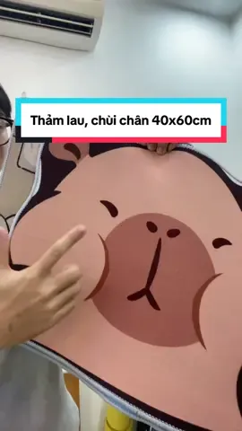 Thảm chùi chân capybara nhiều mẫu #hungchieu #hanimo #trangtrikimhue #thamchuichan #decaosu #thamlauchan #xuhuongtiktok #capybara #thinhhanhxuhuong #chongtrontrot 