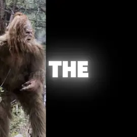 Mothman is on🔝#CapCut #fyp #69mothmen 