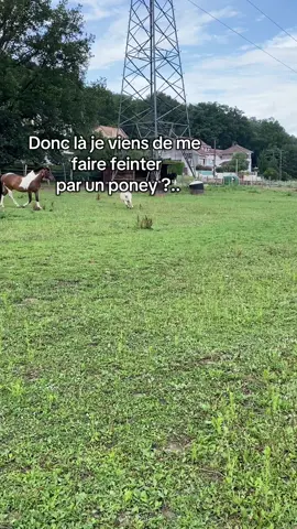 Il tape la gestu à ids c’est rien #cheval #horse #pourvous #pourtoi #trend #bruh #ids #faitepercercettevideo #poney #eh #feinte #clean 