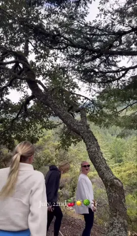 So fun #fyp #Summer #hike #thrifting #Vlog #diml #18yearsold #foryou 