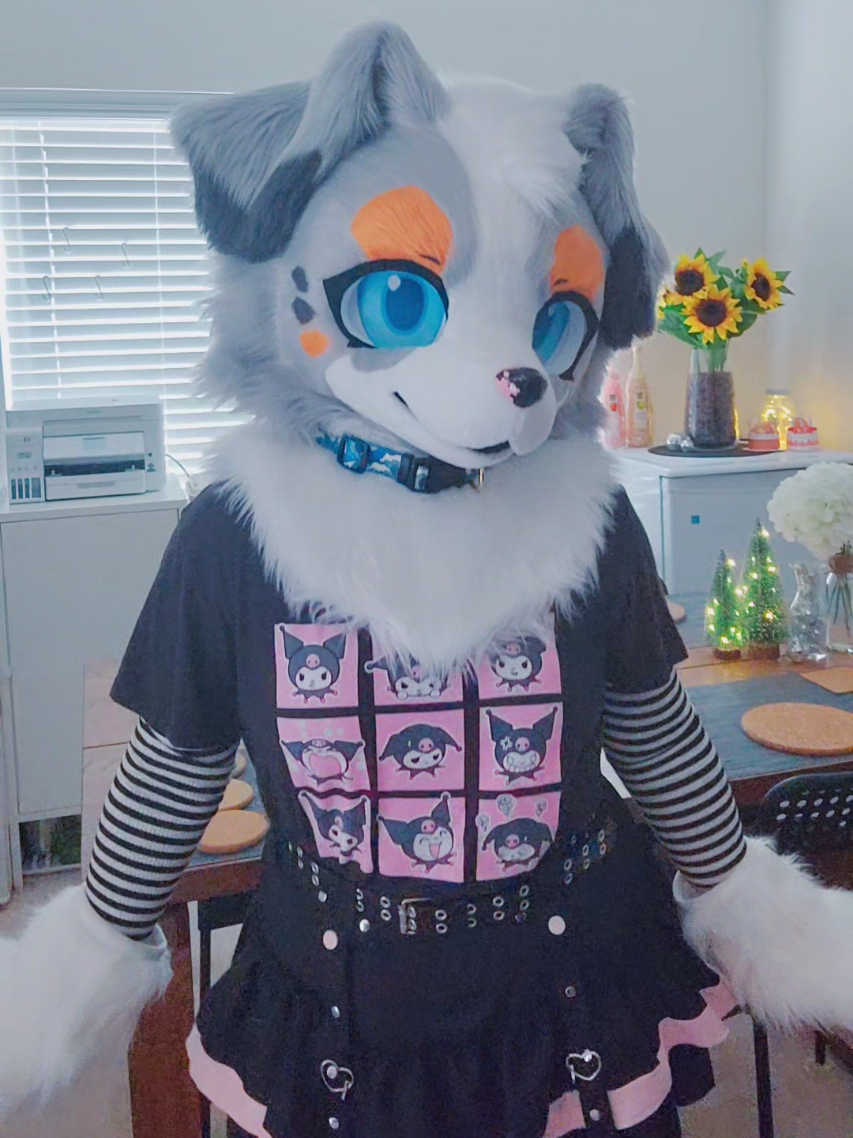 #Furries #FurriesOfTikTok #Furry #FurryCommunity #FurryFandom #Fursuit #Fursuiter #Fursuiting #Fursuits #Kemono #KemonoFursuit 