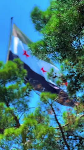 #موطني سوريا # حرة اموية # ‏كُن عظيمًا بذاتِك مجنُونًا مع نفسَك عاِقلا مع غيرك كُن سَعيداِ لأجلكَ وأجلِ مّن يُحبك فقَط...♥️🍃