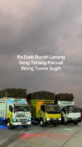 Lanang tenan😁  #drivermuda #storytruck 
