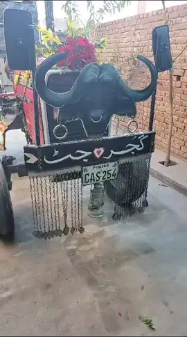 Gujjaraan da Chotta #sohigh #fyp #viralvideo #foryou #trending #FYP #capcut 
