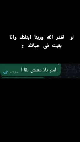 #الجميع 