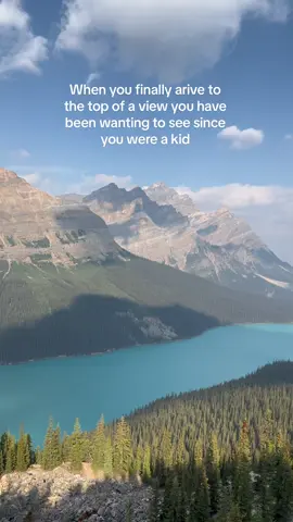 Lived up to the hype #travelcanada #banffnationalpark #banffweddingvideographer #banffweddingphotographer #pnwweddingphotographer 