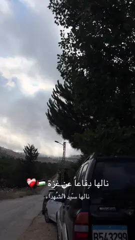 نالها دِفاعاً عن غزة🇵🇸 . . . . . #tiktok #palestine #gaza #explore #explorepage #CapCut #الشعب_الصيني_ماله_حل😂😂 #Love #trending 