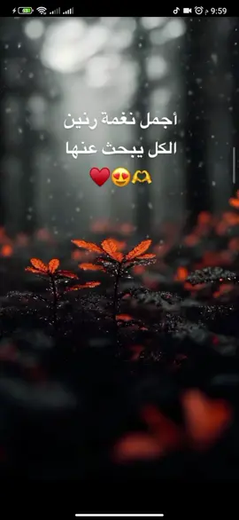 #اجمل_نغمه_رنين  #نغمات  #الا_وانا_معك  #فضل_شاكر  #نغمات_جوال  #هدوء  #اجمل_نغمات_الهاتف  #موبايل 