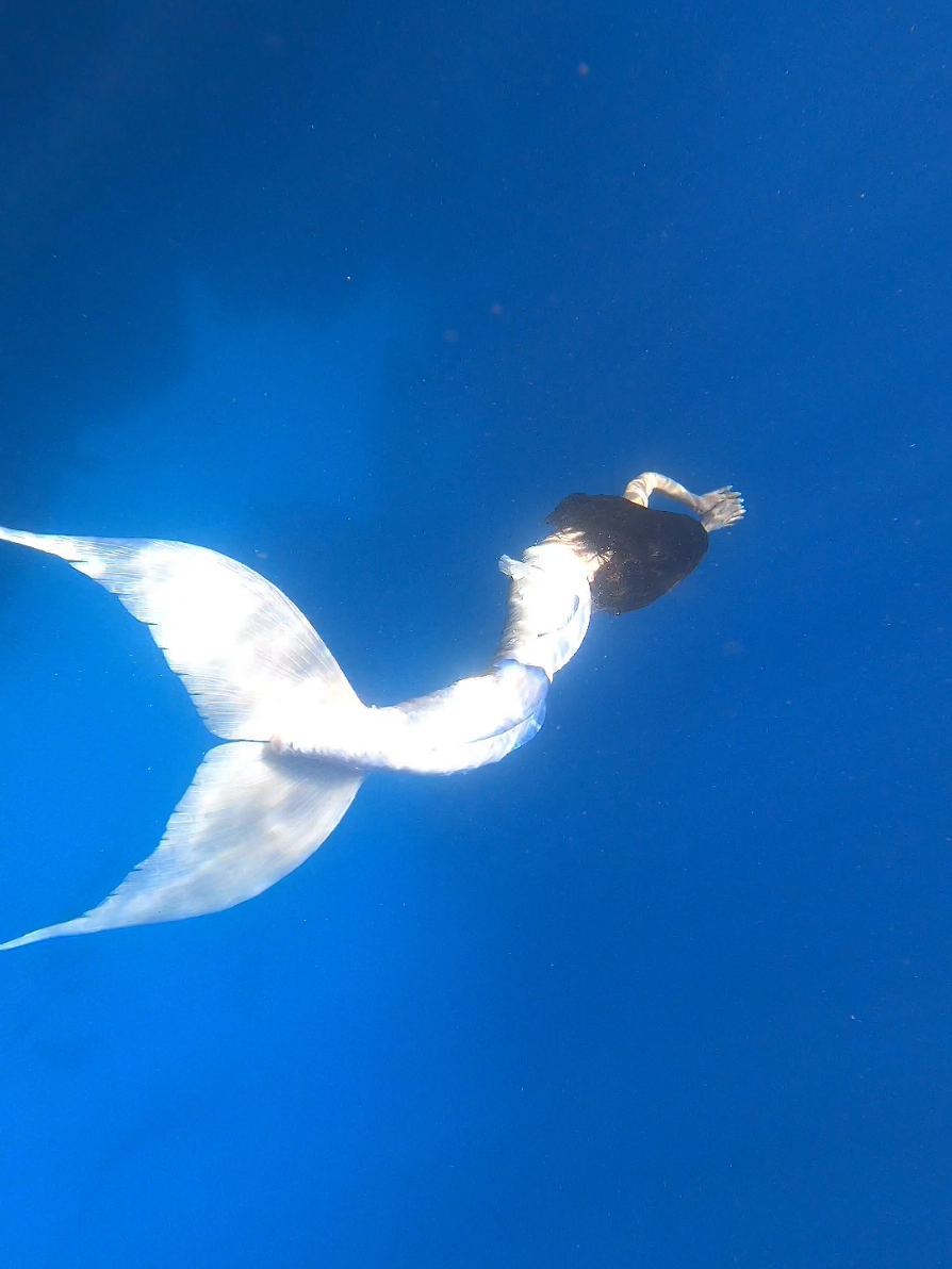 On the sea to mallorca... i am a real mermaid 😍 #sirena #longfish #mermaid #mermaidtail  #siliconetail 
