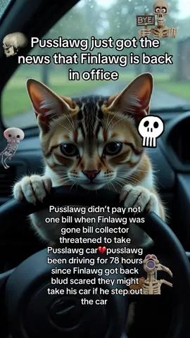 #pusslawg #fyp #meme 