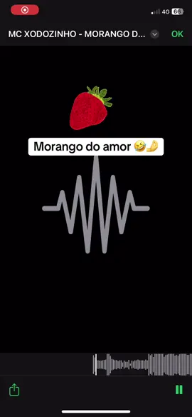 #morangodoamor #morango 