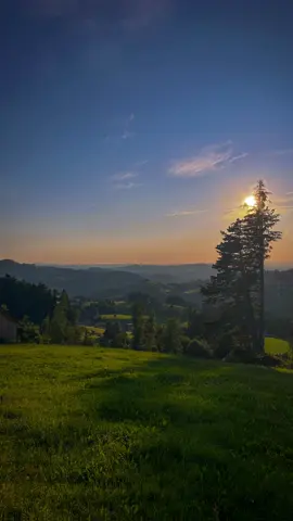 Evening summer walks 