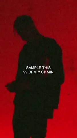#samplethis #beatmaker #musicproducer #flstudio #ableton #fyp 