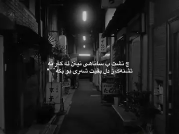 11:38.               #zaxo_duhok_hewler_slemani_hawler #fyp #viral #fypシ゚ @TikTok 