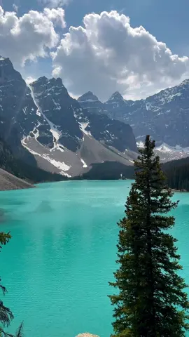 Still not over seeing Moraine Lake for the first time 🩵 Hands down one of my favourite spots on my Canadian Rockies road trip! Make sure to book your shuttle through Parks Canada two days in advance at 8am MST (no personal vehicles allowed up the road) — or opt for a private tour to catch this iconic view! 🏔️ #morainelake #lakelouise #banff #banffnationalpark #banffcanada #canadianrockies #bucketlisttravel 