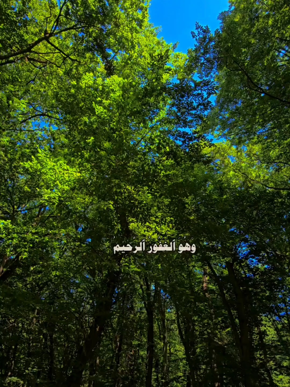 كن مع الله ولا تبالِ 💚 . . . #القران_الكريم #istanbul #turkey  #تركيا #اسطنبول #منظر #طبيعة 