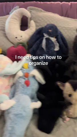 Please comment some tips on how to organize 🫶 #jellycat #jellycatcollector #jellycatcollection #lazuliadragon #trinket #fyp #bashfulbunny 