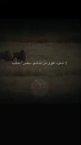 asmar 