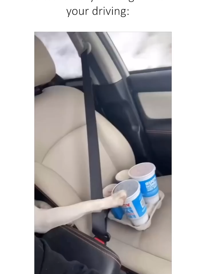 Dog Making Sure that the Drinks are Secured by Holding Them in Place 😂🐶 @funnyanimalsdoingstuff @animals #animals #fyp