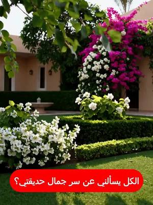 اشتري 1 واحصل على 1 مجانا