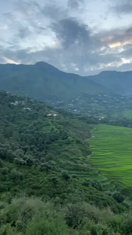 Natural beuty Lower Dir Maidan  #zanrai#gall #socialawarness #nature #tourism #protection #climatechange #enviromentalprotection #sustenibaltourism @ملک اعزاز ترکلانے @jamshed burki @Kabir Afridi 