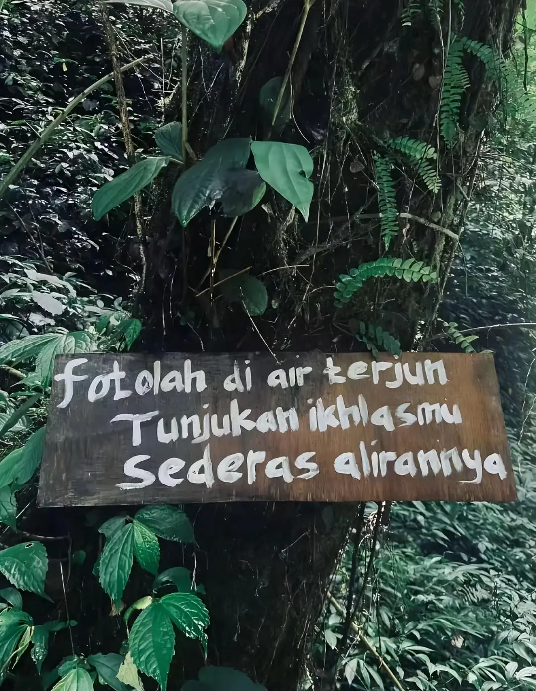 sejuk✨🍃 #alam #airterjun #xybca #fypageシ 