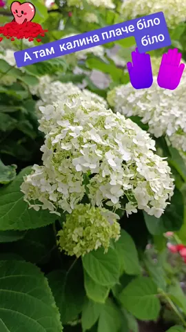 💙🧡 спогад про рідний дім 💙🧡🪻🪻🪻🪻🪻🪻🪻🪻🪻🪻🪻