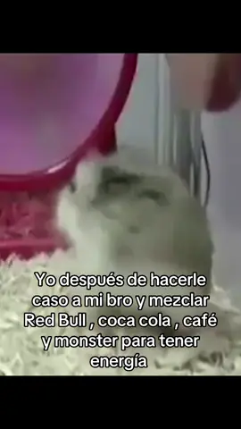 #gimnasio #ejercicio #fyp #hamster #animals 