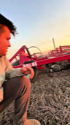 Hoy junto a @gcomex.ar visitamos un productor que está preparando sus suelos para girasol! Y cerrando negocios futuros por su producción! También les vamos a contar como es emprender! Como es iniciar con una empresa! Así que seguinos! #agro #campo #girasol #comercio #exterior #emprender 