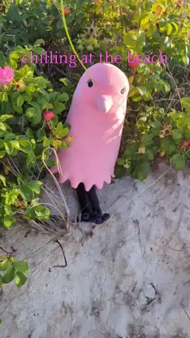 sweetiebird pink beach flower 🌸  cape cod cape cod lalalala 🐳  🐣 🩷