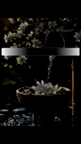 #foryou #💯 #fyp #foryoupage #vairalplzz #fyp #foryoupage 