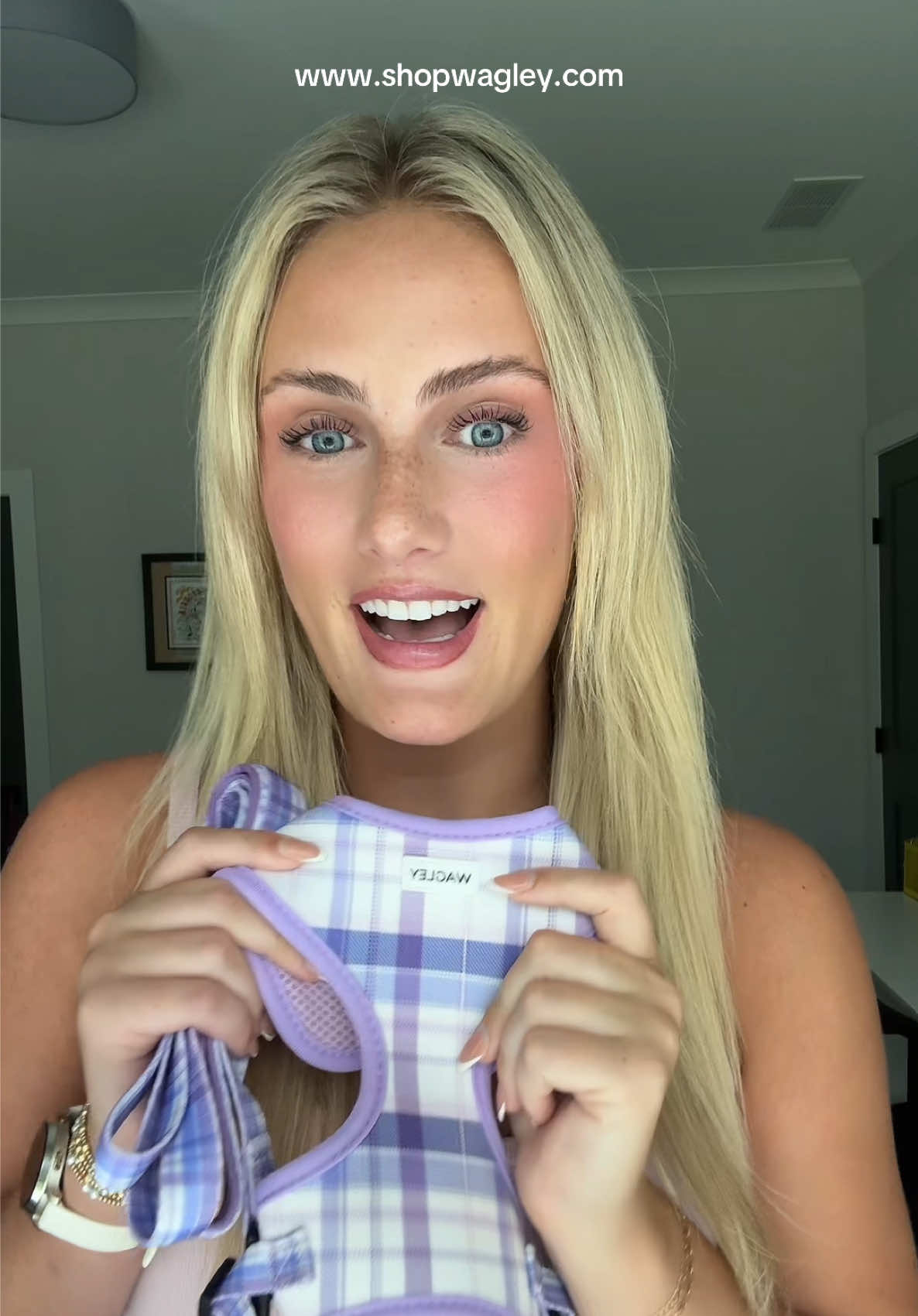 shopwagley.com drops at MIDNIGHT tonight 07/25!!!! link will be in my bio and posted on @ shopwagley on  Instagram!!🤭❤️❤️  - if you came from this video, you can use code TikTok10 for 10% off your order, valid for the next 5 days only!!👀 #SmallBusiness #petaccessories #wearingwagley #dachshund #dogsoftiktok 