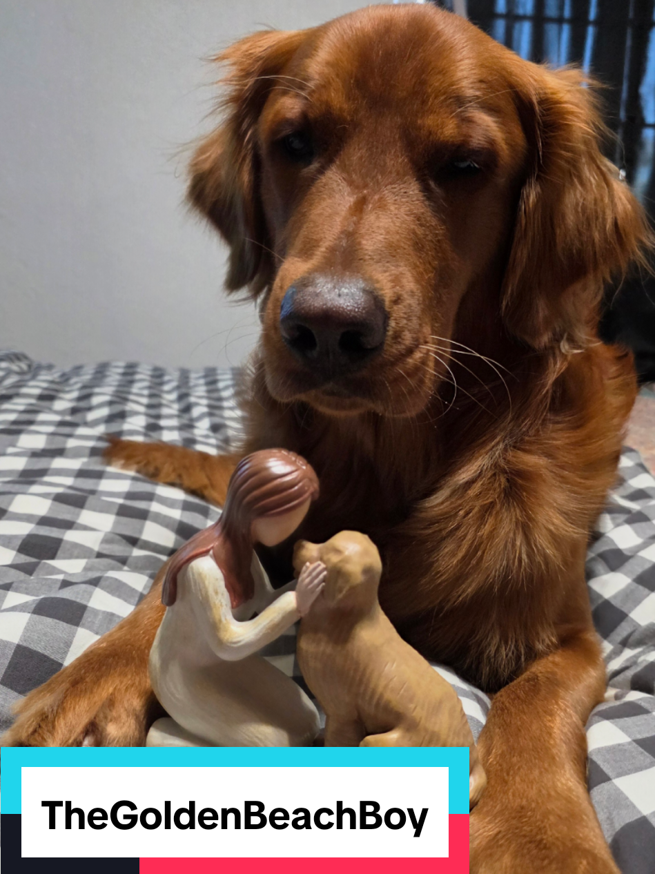 As if my mom wasn't already obsessed with me, we now have a figurine to prove it! Thank you for the collaboration! We love it! #collaboration #maverick #thegoldenbeachboy #goldenretriever #goldenretrieverpuppy #goldenretrievers #goldenretrieversofinstagram #goldenretrieversofcalifornia #goldenretrieversofinstagram  #goldenretrievermom  #goldenretrieverdog  #goldenretrievertoday  #goldenretrieverlove  #goldenfloofgang  #redgoldenretriever #redgoldenretrievers #redgoldenretrieverpuppy #redgoldenretrieversofinstagram  #beachdog #beachboy #beachdoglife #dogsofınstagram #dogmodel #dogmom #doglover #doglife #dogbandanas  #dogambassador 