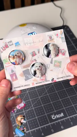 We are excited to introduce pearl glass magnets as the newest addition to our magnet collection—an elegant and affordable gift option. #retro #magnets #Home #fridgeorganization #fridgemagnets #fridgemagnets #baby #family #viral #tiktok #office #corporate #usa #sea #vacations #pearl #joy #happy #glass #glassmagnets #safetypins 