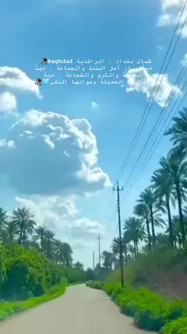 #الراشدية#راشديتنا#بغداد#البوحياة#العراق#بستان#آل_حيان❤️. 