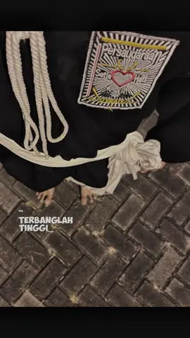 PSHT🤍#psht2025 #storywa #pahtpusatmadiun #psht 