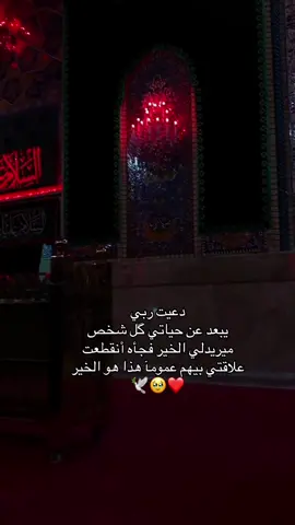 #اللهم_ابعد_عنا_من_يريد_بنا_سوء #كربلاء_مدينة_العشق_والعاشقين #اكسبلورexplore #متابعه_ولايك_واكسبلور_فضلا_ليس_امر #اللهم_عجل_لوليك_الفرج 