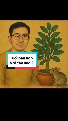 Cây hợp phong thủy #phong thủy #cayphongthuy #cayphattai #caykimtien#viral #xuhuong #tiktok #shorts #12congiap 