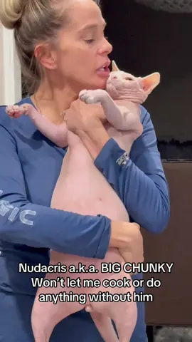 He’s been a big lover baby recently, so I really don’t get to do much by myself whether it be cooking or taking a bath Nudacris is right there with me! ##foryoupage❤️❤️##tiktok##fypagetiktok##trending##trendingvideos##tiktoktrend##duet##fypツ##viral##sphynx##cat##Love##funny##pets##animal##funnycats##meme##memes##cute##cutecats