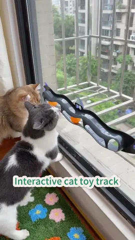 **🐾 Keep Your Cat Entertained for Hours! 🎾**   Say goodbye to bored kitties with this **Interactive Cat Chase Toy**! Watch as your feline friend goes wild trying to catch the rolling ball—endless fun and exercise in one!   ✨ **Engaging Movement**: The ball rolls unpredictably to keep them hooked!   ✨ **Mental Stimulation**: Perfect for curious cats who love a challenge.   ✨ **Durable & Safe**: Made with pet-friendly materials for worry-free play.   Who’s ready for some purr-suit action? 😼 Tag a cat lover below!   #CatToyFun #PlaytimeGoals #HappyKitty #PetEssentials #SmartCats #MustHaveForCatOwners 