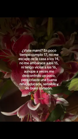 te amo ma🩷 #fypシ #mami #17 #lilies #viral 