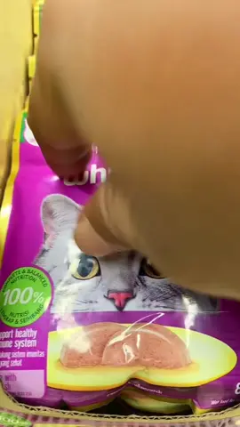 Whiskas 1 dus isi 28pcs whiskas makanan kucing basah #whiskas #whiskas1dus #whiskasbasah 