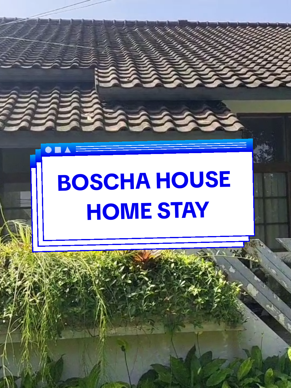 Boscha House (Homestay) * Dekat Tempat Wisata * Dekat Bandara * Dekat Statsiun KA * Harga terjangkau #homestay  #kotabandung  #boscha  #promomakangajian  #lilieserlyana💙 