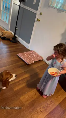 Dog and kid😂😂😂#dog#dogsoftiktok #kid#pet#funnydog#fyp