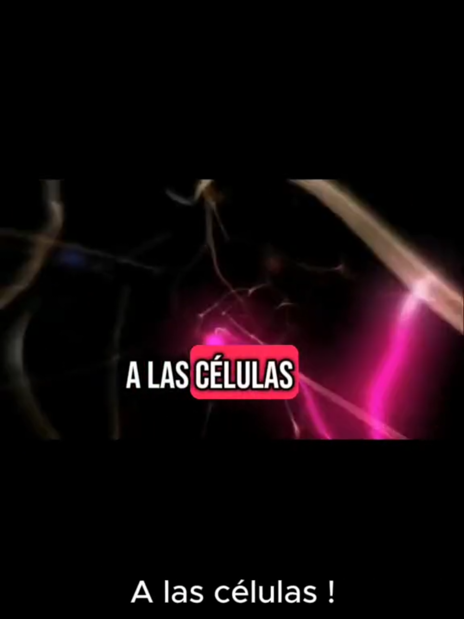 Tus celulas escuchan TU agradecimiento! 🌟 Cada pensamiento libera sustancias químicas en el cerebro llamadas neuropéptidos.  Estas sustancias, junto con las cargas eléctricas, estimulan el hipotálamo, una parte importante del cerebro. Cada pensamiento que tenemos influye en millones de átomos, moléculas y células de todo el cuerpo.⚡ #celulas #agradecimiento #vida #Dios #kairosritmo 