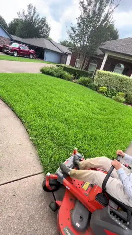 #garden #gardening #clean #cleaning #asmr #fyp 