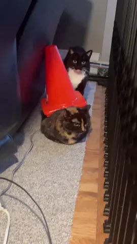 Traffic cone